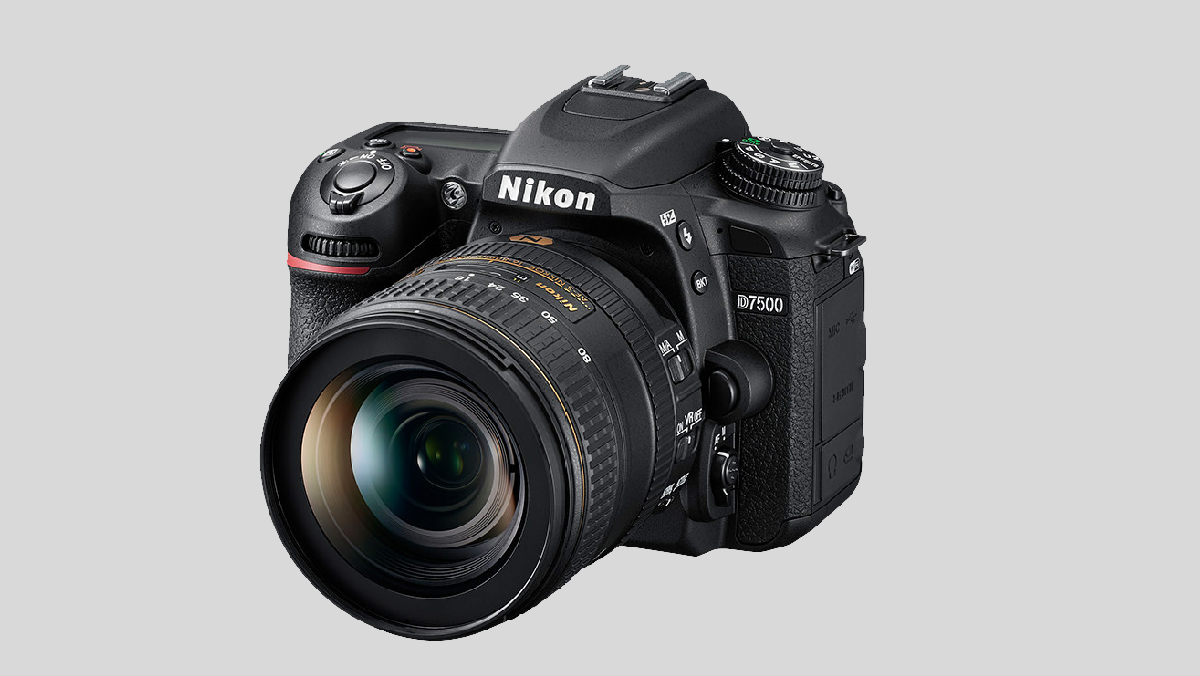 キヤノン EOS 6D MarkII