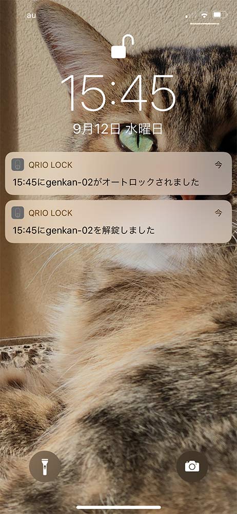 Qrio Lock