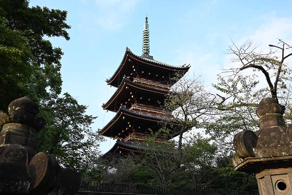上野の五重塔。江戸時代のものが消失せずにそのまま残っていて、1639年（江戸時代前期）に立てられたものです。上野東照宮参道から撮りました。