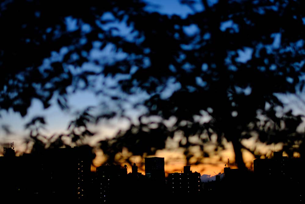 F1,1で撮った夕日。奥のビルと手前の木をシルエットで入れてみました。